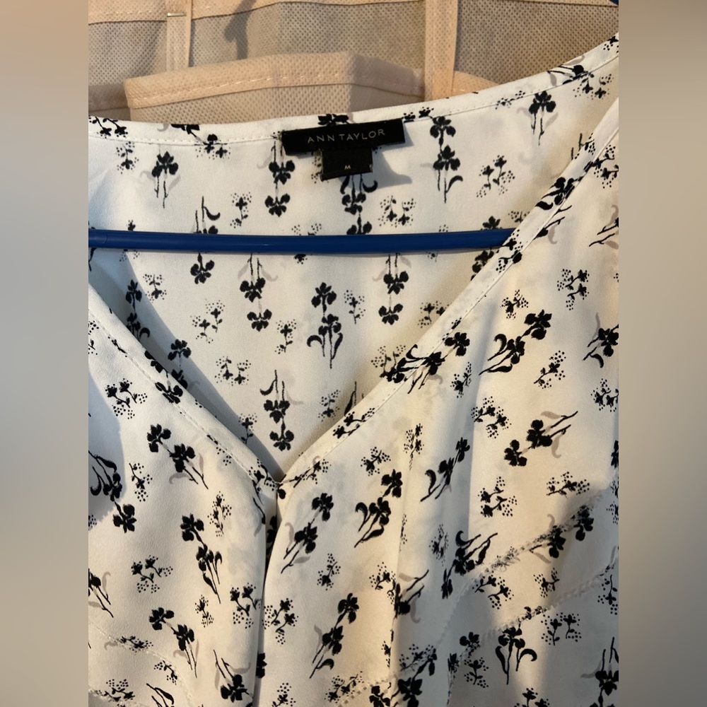 Medium Ann Taylor sheer top